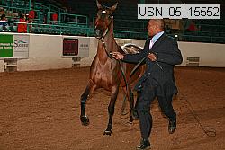 usn_05_15552 proof