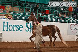 usn_05_15556 proof