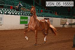 usn_05_15558 proof