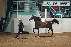 usn_05_15562 proof