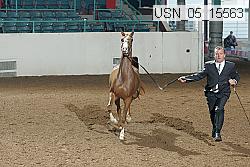 usn_05_15563 proof