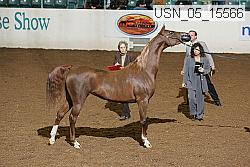 usn_05_15566 proof