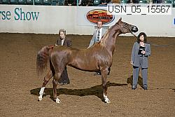 usn_05_15567 proof