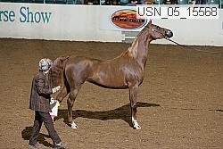 usn_05_15568 proof