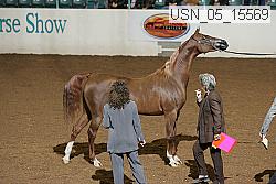 usn_05_15569 proof