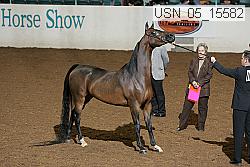 usn_05_15582 proof