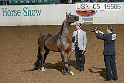 usn_05_15586 proof
