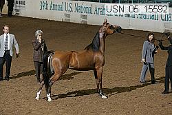 usn_05_15592 proof
