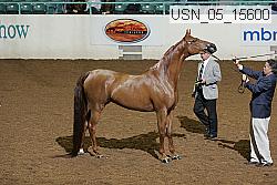 usn_05_15600 proof