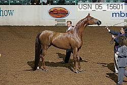 usn_05_15601 proof