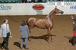 usn_05_15602 proof