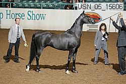 usn_05_15606 proof