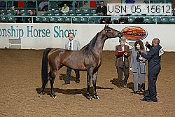 usn_05_15612 proof