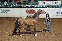 usn_05_15616 proof