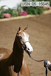 usn_05_15645 proof