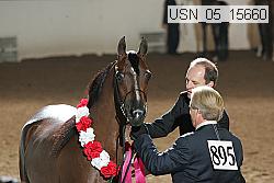 usn_05_15660 proof