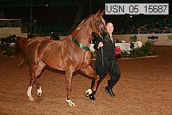 usn_05_15687 proof
