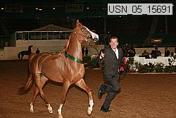 usn_05_15691 proof