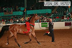 usn_05_15707 proof