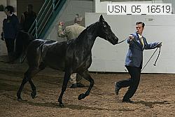 usn_05_16519 proof