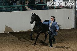 usn_05_16520 proof