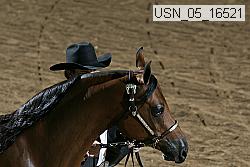 usn_05_16521 proof