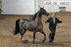 usn_05_16522 proof