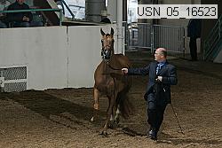 usn_05_16523 proof