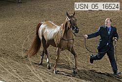 usn_05_16524 proof