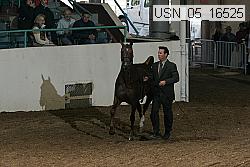 usn_05_16525 proof