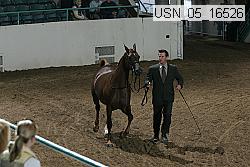usn_05_16526 proof
