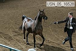 usn_05_16528 proof