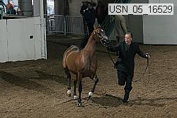 usn_05_16529 proof
