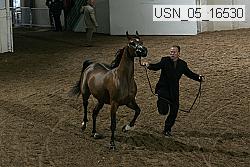 usn_05_16530 proof