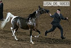 usn_05_16533 proof