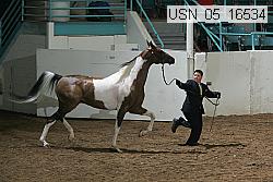 usn_05_16534 proof
