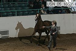 usn_05_16535 proof
