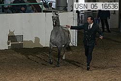 usn_05_16536 proof