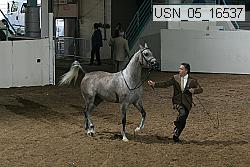 usn_05_16537 proof