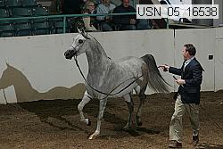 usn_05_16538 proof