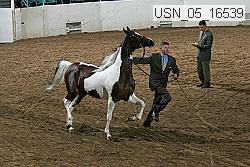 usn_05_16539 proof