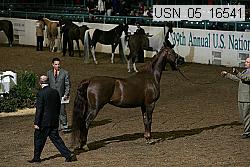 usn_05_16541 proof