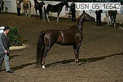 usn_05_16542 proof