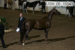 usn_05_16543 proof