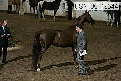 usn_05_16544 proof