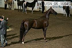 usn_05_16545 proof