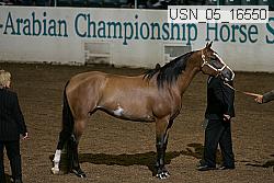 usn_05_16550 proof