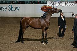 usn_05_16558 proof
