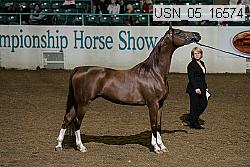 usn_05_16574 proof