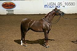 usn_05_16580 proof